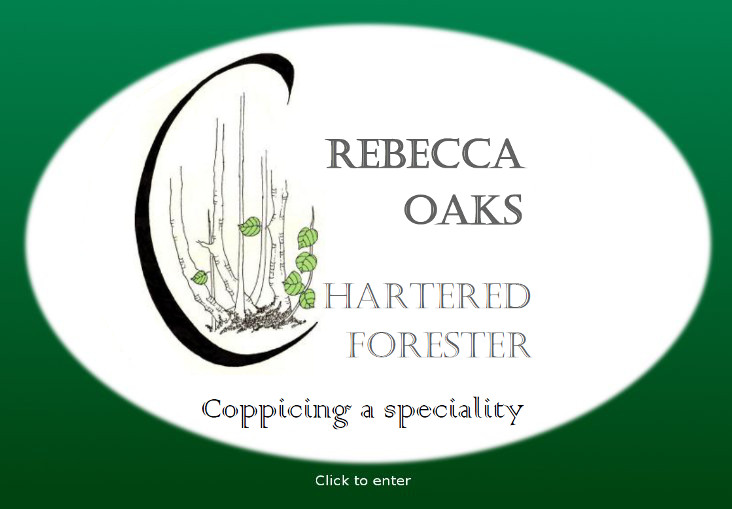 Rebecca Oaks - Coppice Merchant